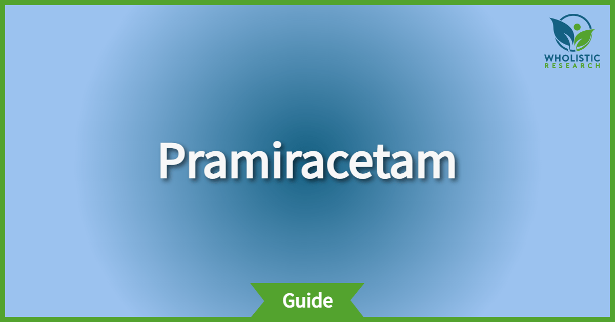 pramiracetam review