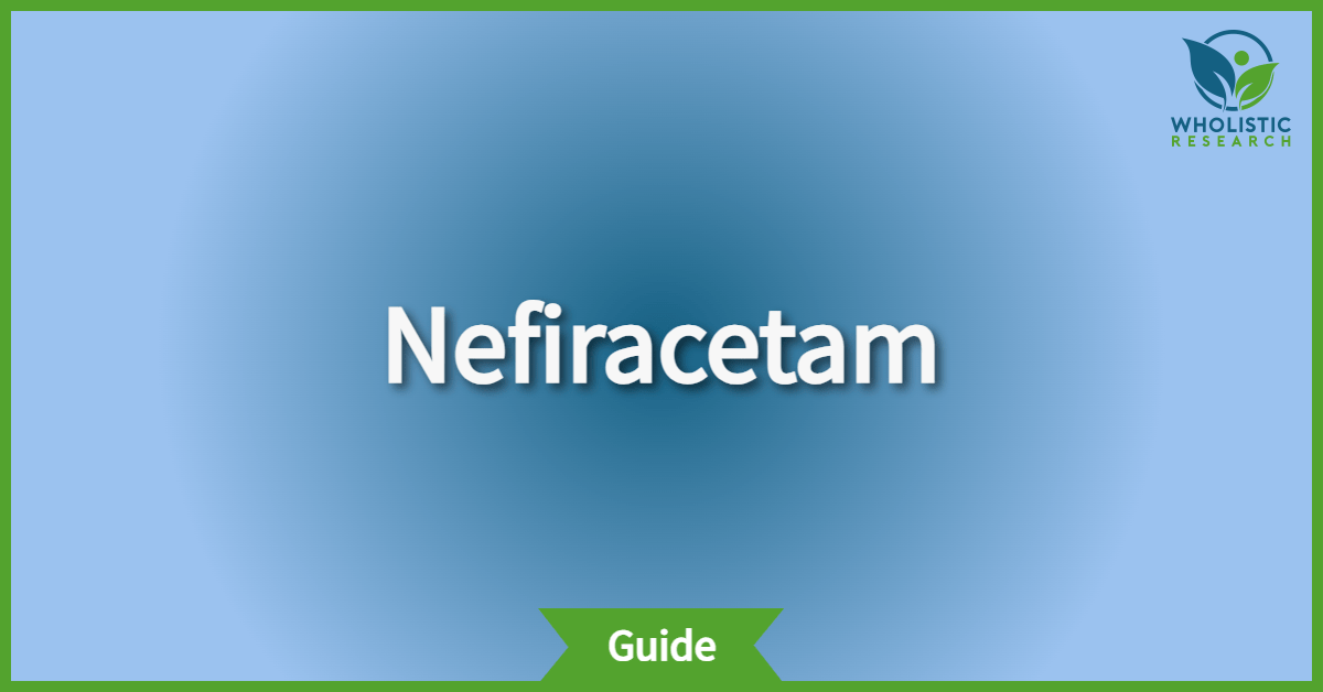 nefiracetam review